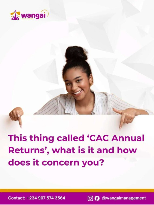 CAC Annual Returns